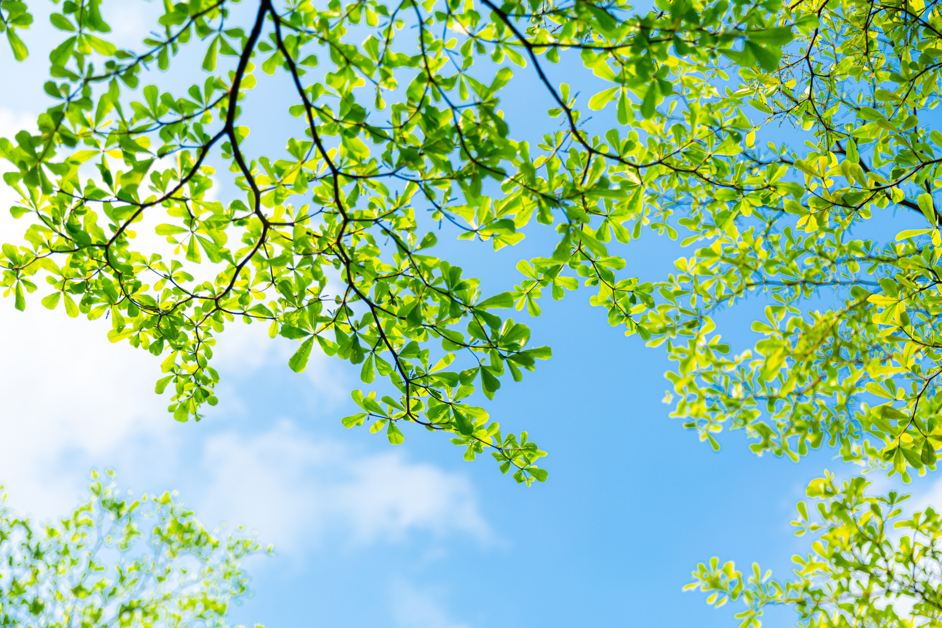“逃離”炎熱夏日，您需要一扇隔熱節(jié)能的好門窗！