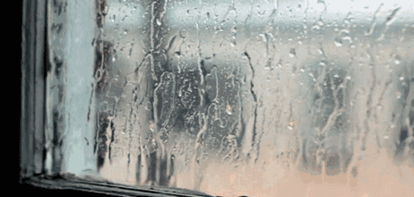 微信圖片_20210719205930.gif